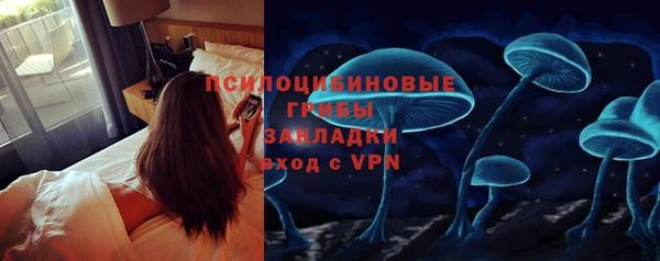 марки lsd Белокуриха