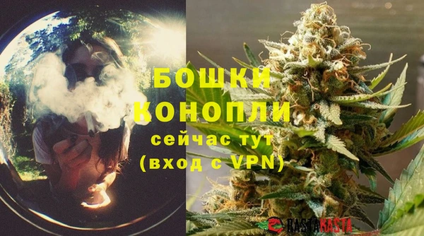 марки lsd Белокуриха
