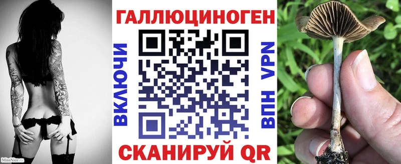 darknet наркотические препараты  Кропоткин  Псилоцибиновые грибы мухоморы  сколько стоит 